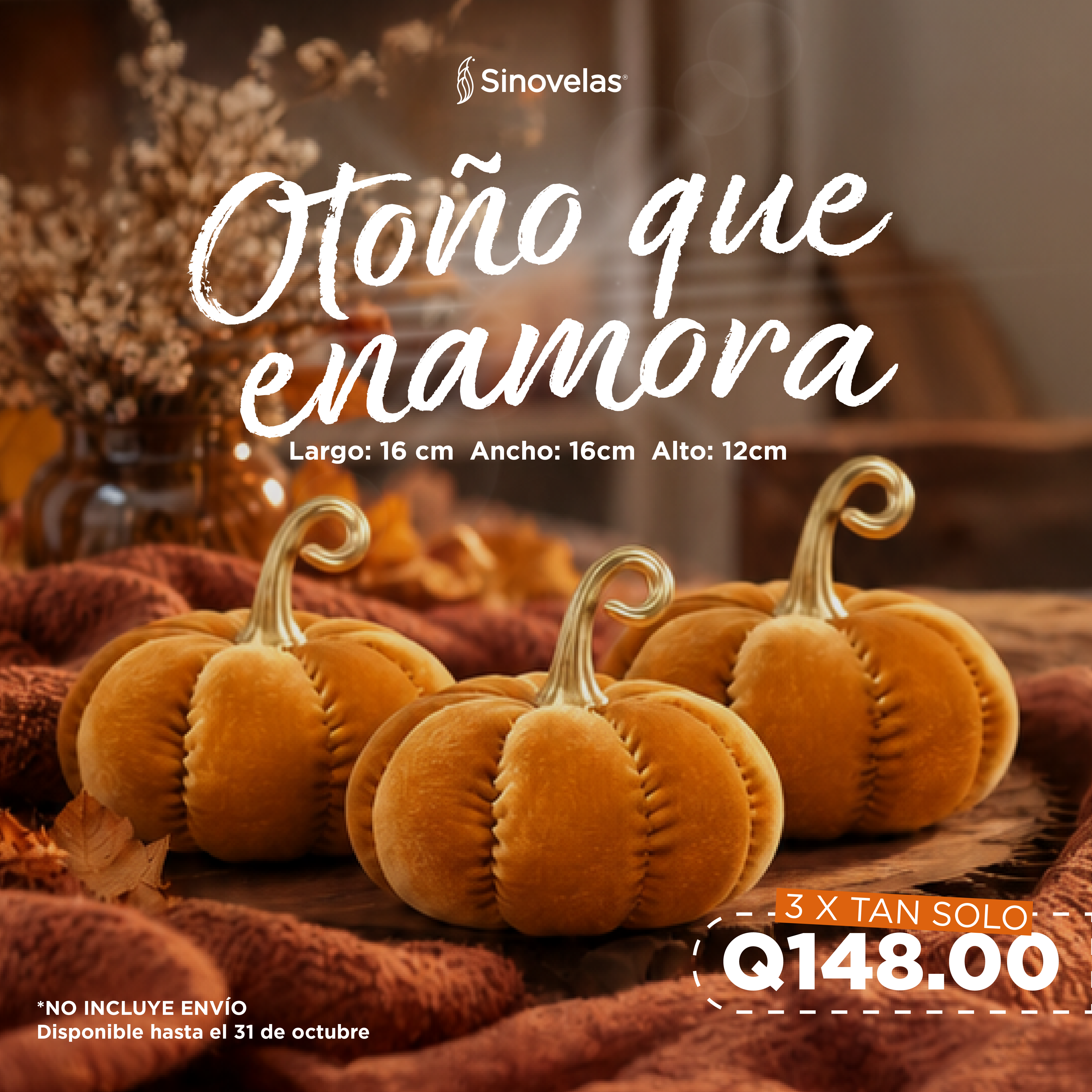 Set Calabazas Anaranjadas