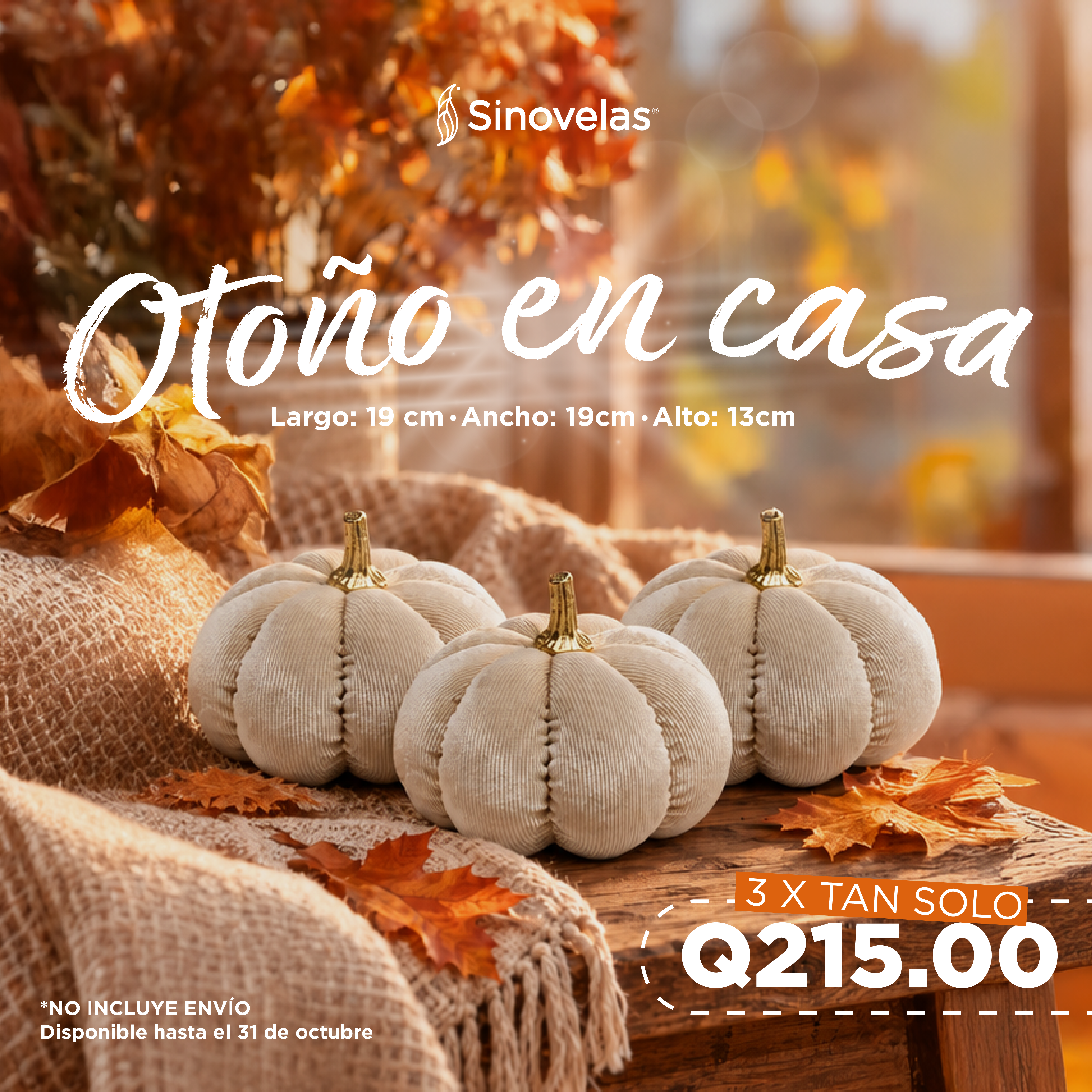 Set de Calabazas Blancas