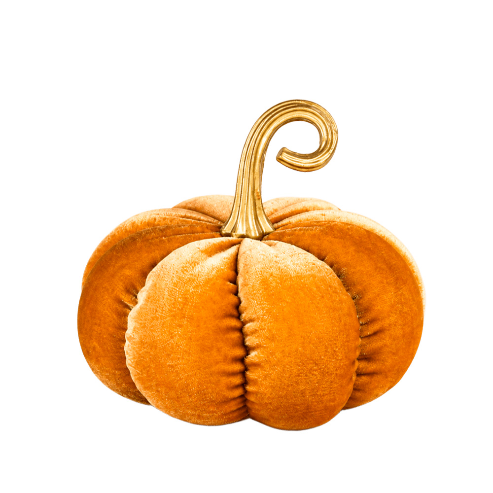 Calabaza anaranjada image number 0